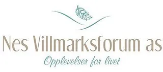 Logo, Nes Villmarksforum AS